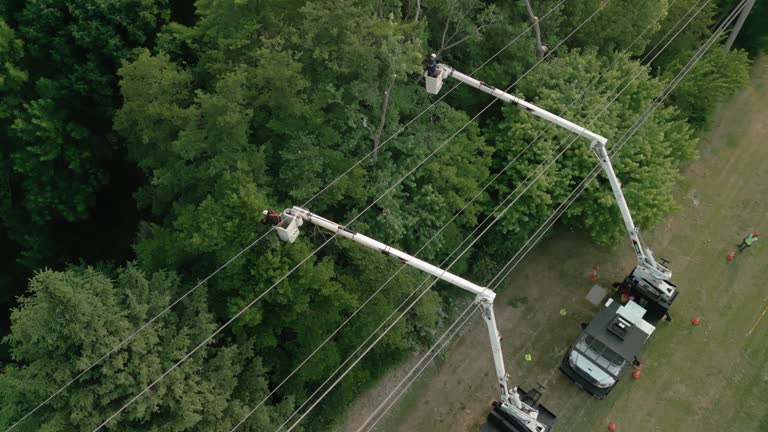 Best Hazardous Tree Removal  in Church Hill, PA